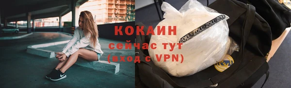 молекула духа Лихославль