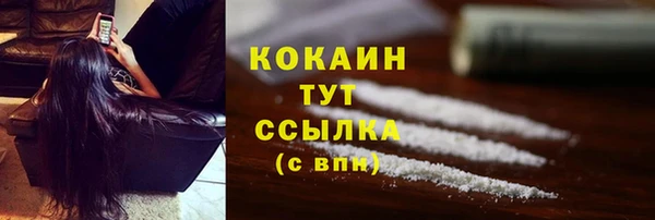 молекула духа Лихославль