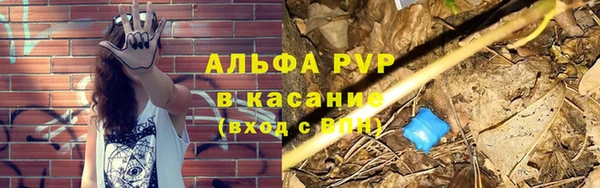 сатива Ладушкин