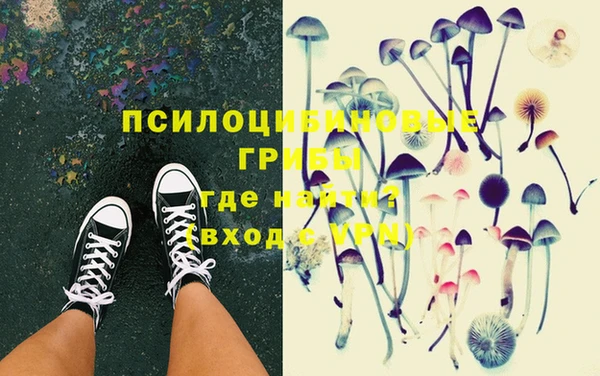 сатива Ладушкин